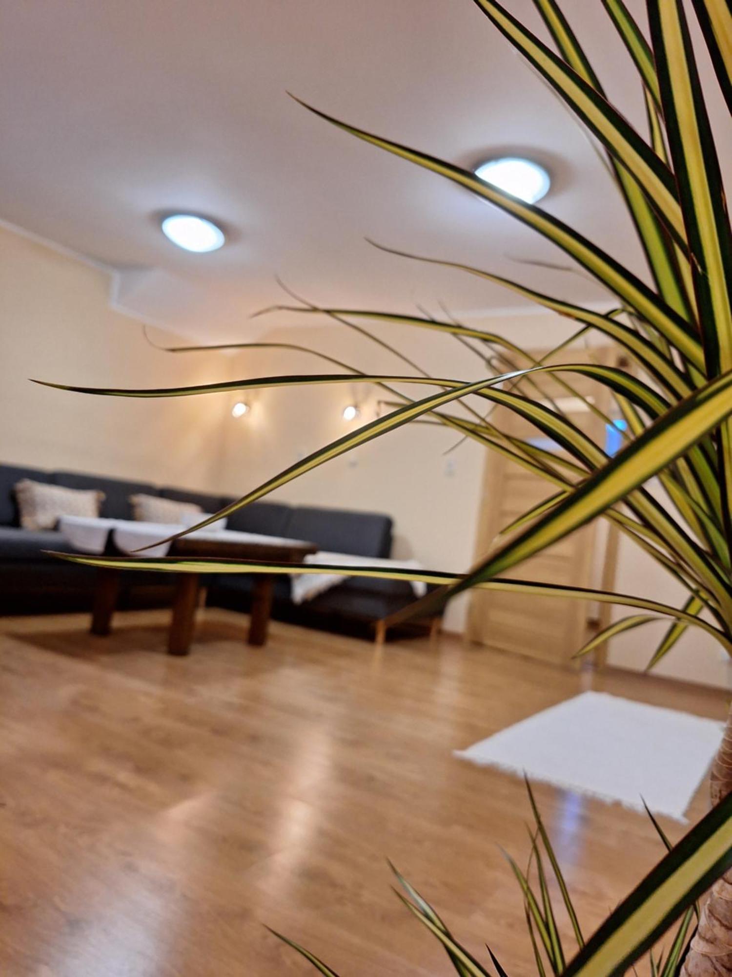 Vila Pohoda Javorniky S Rozlahlym Pozemkom Makov Extérieur photo